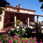 Malafrasca Siena